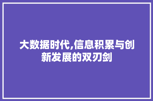 大数据时代,信息积累与创新发展的双刃剑 SEO教程