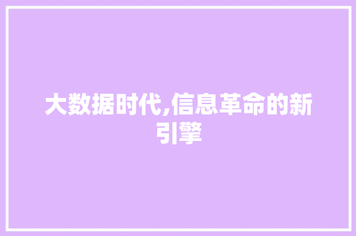 大数据时代,信息革命的新引擎