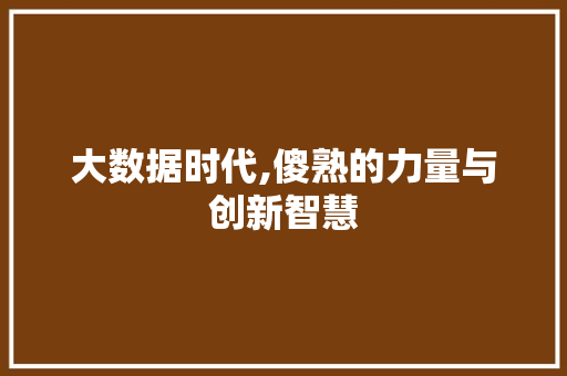 大数据时代,傻熟的力量与创新智慧 Web前端