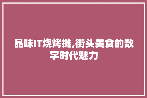 品味IT烧烤摊,街头美食的数字时代魅力 服务器/数据库