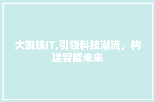 大蜘蛛IT,引领科技潮流，构建智能未来