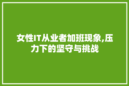 女性IT从业者加班现象,压力下的坚守与挑战 SEO教程