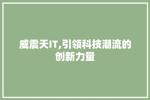 威震天IT,引领科技潮流的创新力量