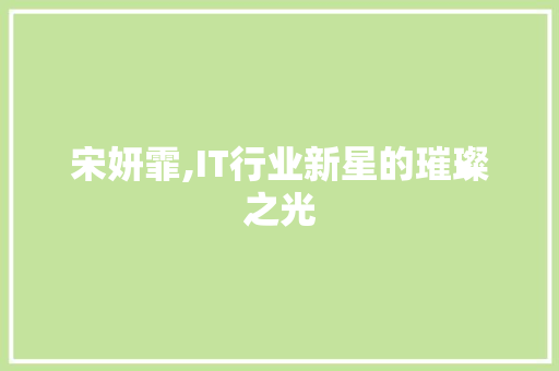宋妍霏,IT行业新星的璀璨之光