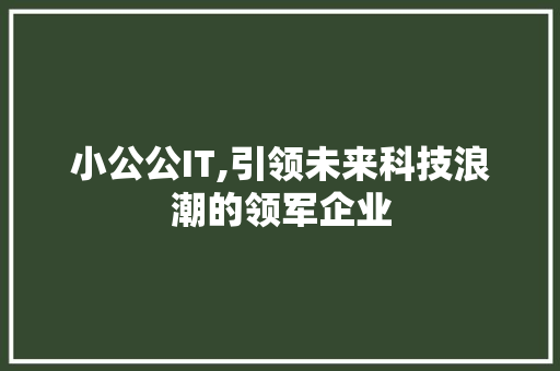 小公公IT,引领未来科技浪潮的领军企业