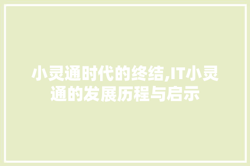小灵通时代的终结,IT小灵通的发展历程与启示