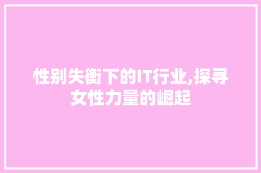 性别失衡下的IT行业,探寻女性力量的崛起