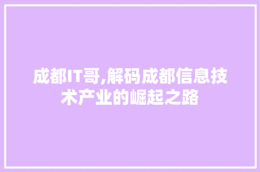 成都IT哥,解码成都信息技术产业的崛起之路