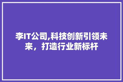 李IT公司,科技创新引领未来，打造行业新标杆