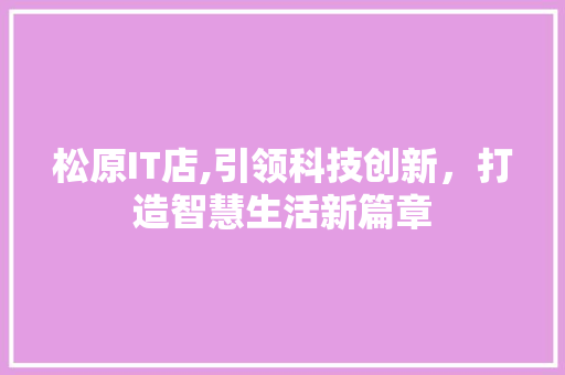 松原IT店,引领科技创新，打造智慧生活新篇章