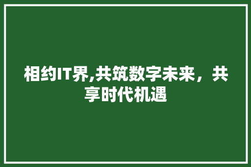 相约IT界,共筑数字未来，共享时代机遇