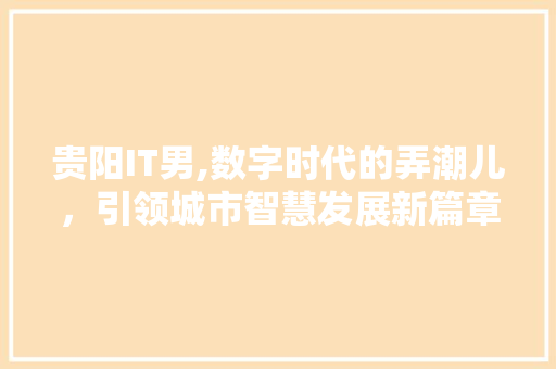 贵阳IT男,数字时代的弄潮儿，引领城市智慧发展新篇章 友链在线
