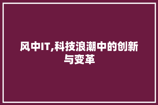 风中IT,科技浪潮中的创新与变革