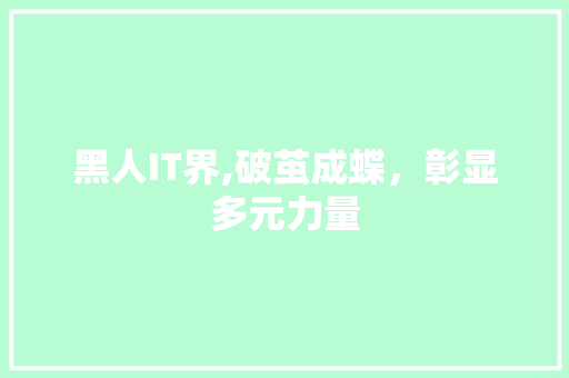 黑人IT界,破茧成蝶，彰显多元力量 服务器/数据库