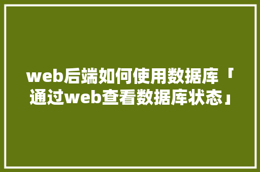 web后端如何使用数据库「通过web查看数据库状态」