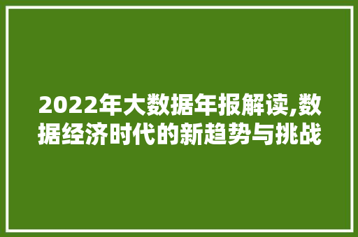 2022年大数据年报解读,数据经济时代的新趋势与挑战