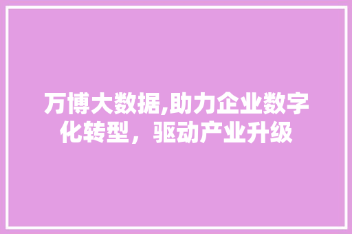 万博大数据,助力企业数字化转型，驱动产业升级