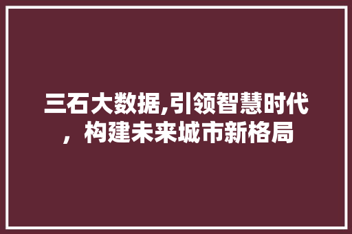三石大数据,引领智慧时代，构建未来城市新格局 服务器/数据库