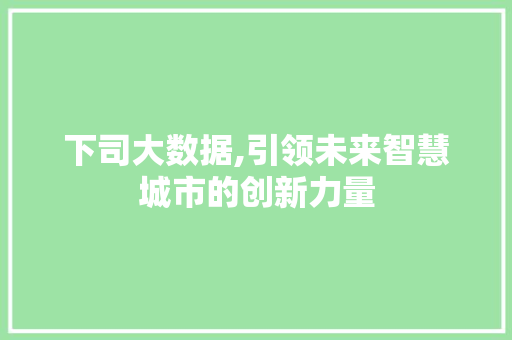 下司大数据,引领未来智慧城市的创新力量
