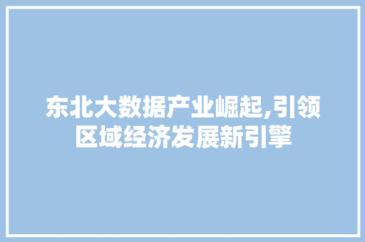 东北大数据产业崛起,引领区域经济发展新引擎