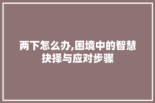 两下怎么办,困境中的智慧抉择与应对步骤