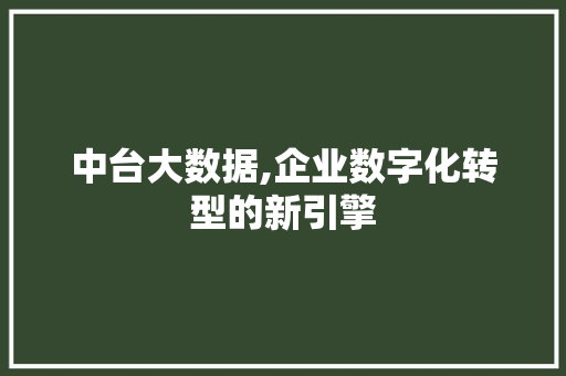 中台大数据,企业数字化转型的新引擎