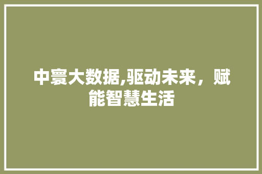 中寰大数据,驱动未来，赋能智慧生活