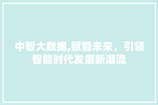中智大数据,赋能未来，引领智能时代发展新潮流