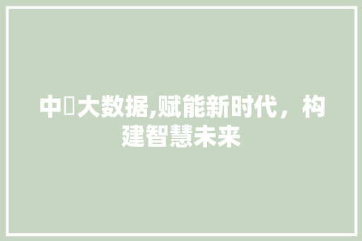 中璟大数据,赋能新时代，构建智慧未来
