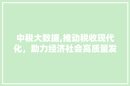 中税大数据,推动税收现代化，助力经济社会高质量发展