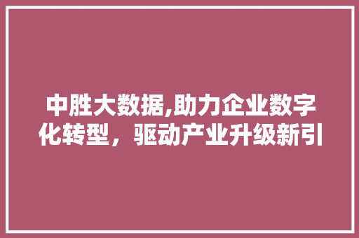 中胜大数据,助力企业数字化转型，驱动产业升级新引擎