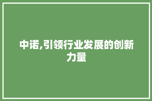 中诺,引领行业发展的创新力量
