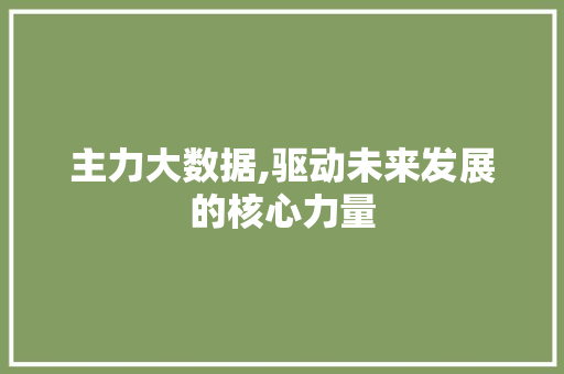 主力大数据,驱动未来发展的核心力量