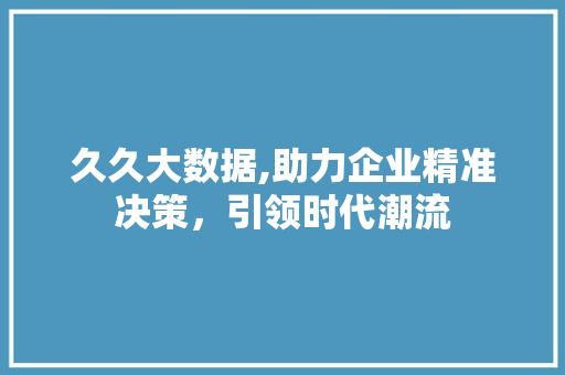 久久大数据,助力企业精准决策，引领时代潮流