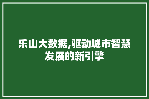 乐山大数据,驱动城市智慧发展的新引擎
