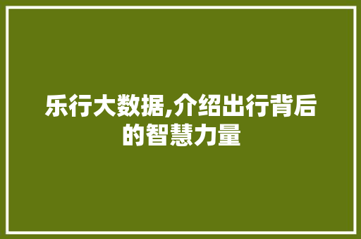 乐行大数据,介绍出行背后的智慧力量