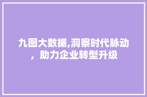 九图大数据,洞察时代脉动，助力企业转型升级