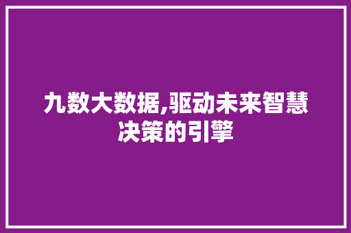 九数大数据,驱动未来智慧决策的引擎