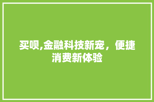 买呗,金融科技新宠，便捷消费新体验