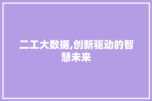 二工大数据,创新驱动的智慧未来