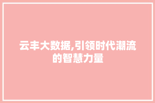 云丰大数据,引领时代潮流的智慧力量