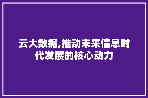 云大数据,推动未来信息时代发展的核心动力