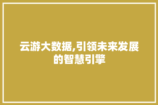云游大数据,引领未来发展的智慧引擎