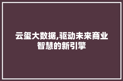 云玺大数据,驱动未来商业智慧的新引擎 服务器/数据库