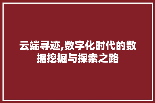 云端寻迹,数字化时代的数据挖掘与探索之路