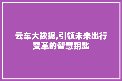 云车大数据,引领未来出行变革的智慧钥匙