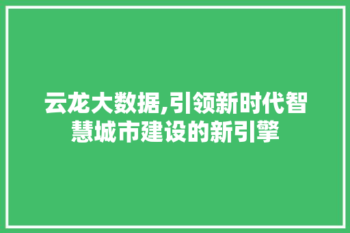 云龙大数据,引领新时代智慧城市建设的新引擎