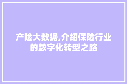 产险大数据,介绍保险行业的数字化转型之路