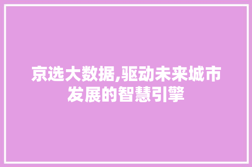 京选大数据,驱动未来城市发展的智慧引擎