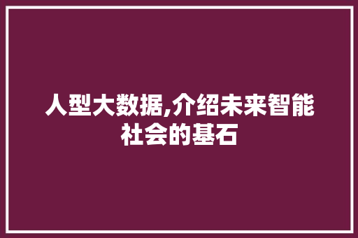 人型大数据,介绍未来智能社会的基石